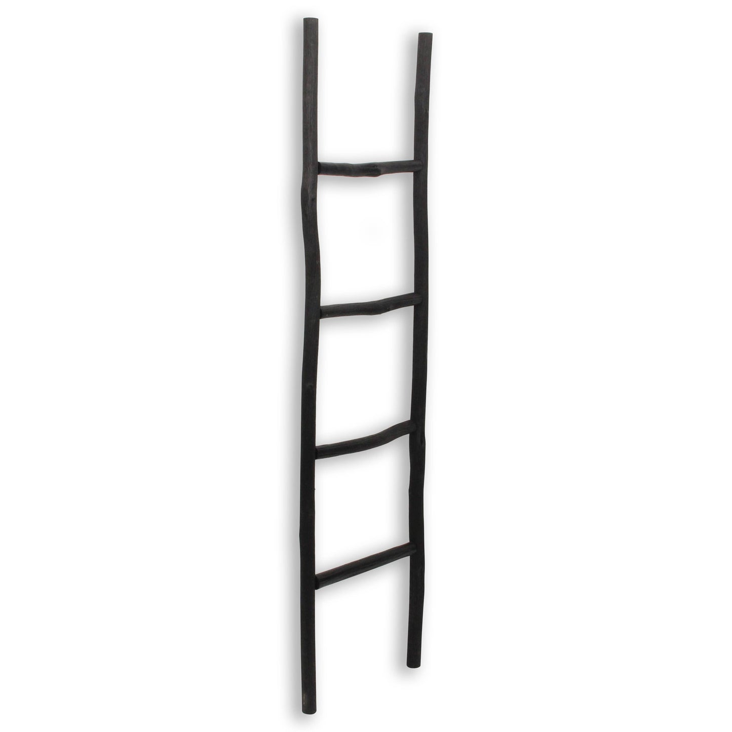 Theron Wood Ladder