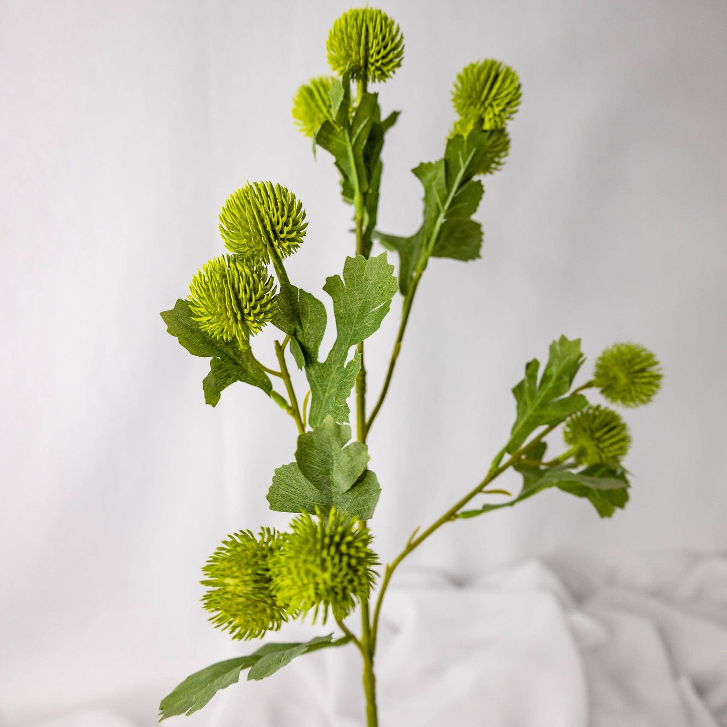 Green Pom Pom Spray