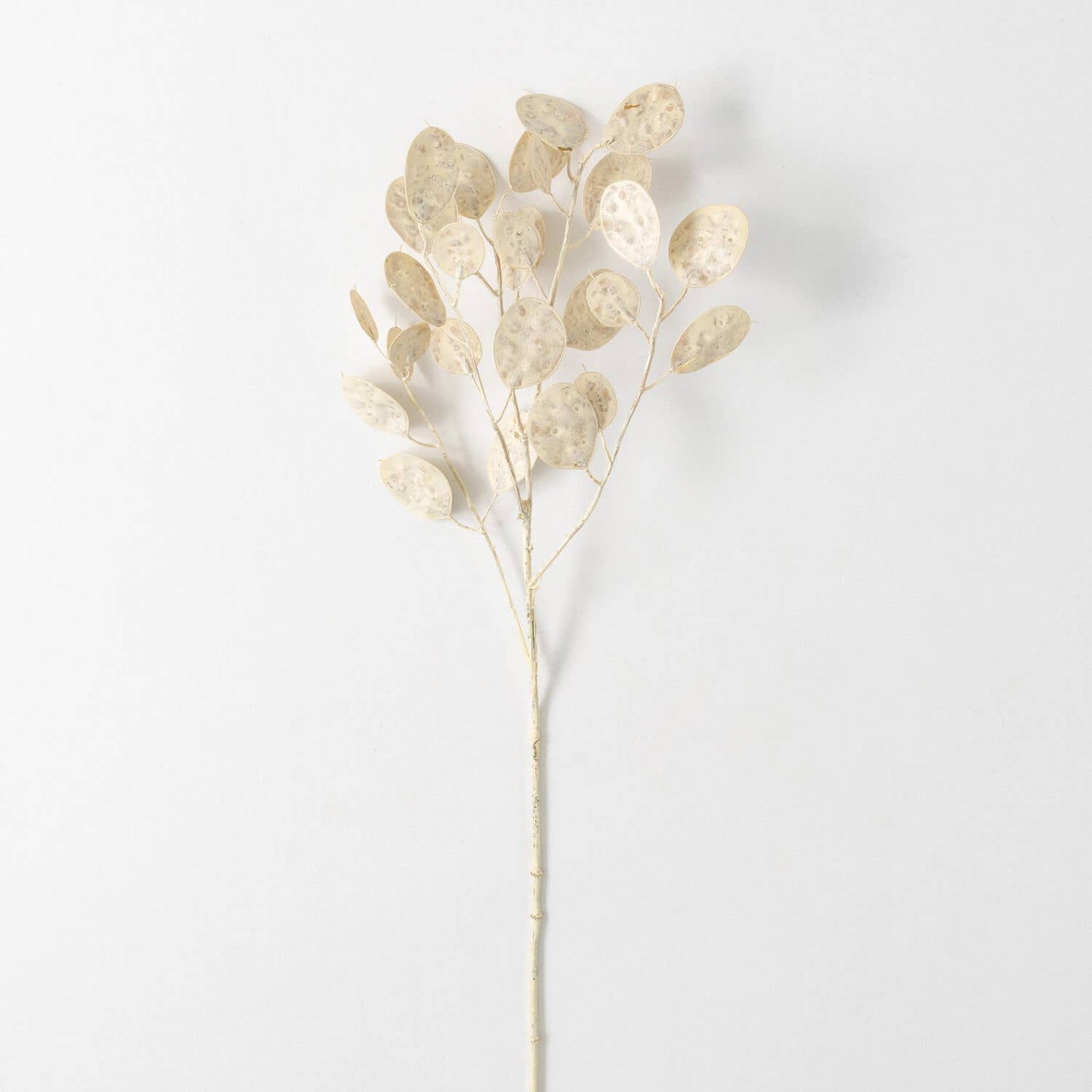 Linaria Spray