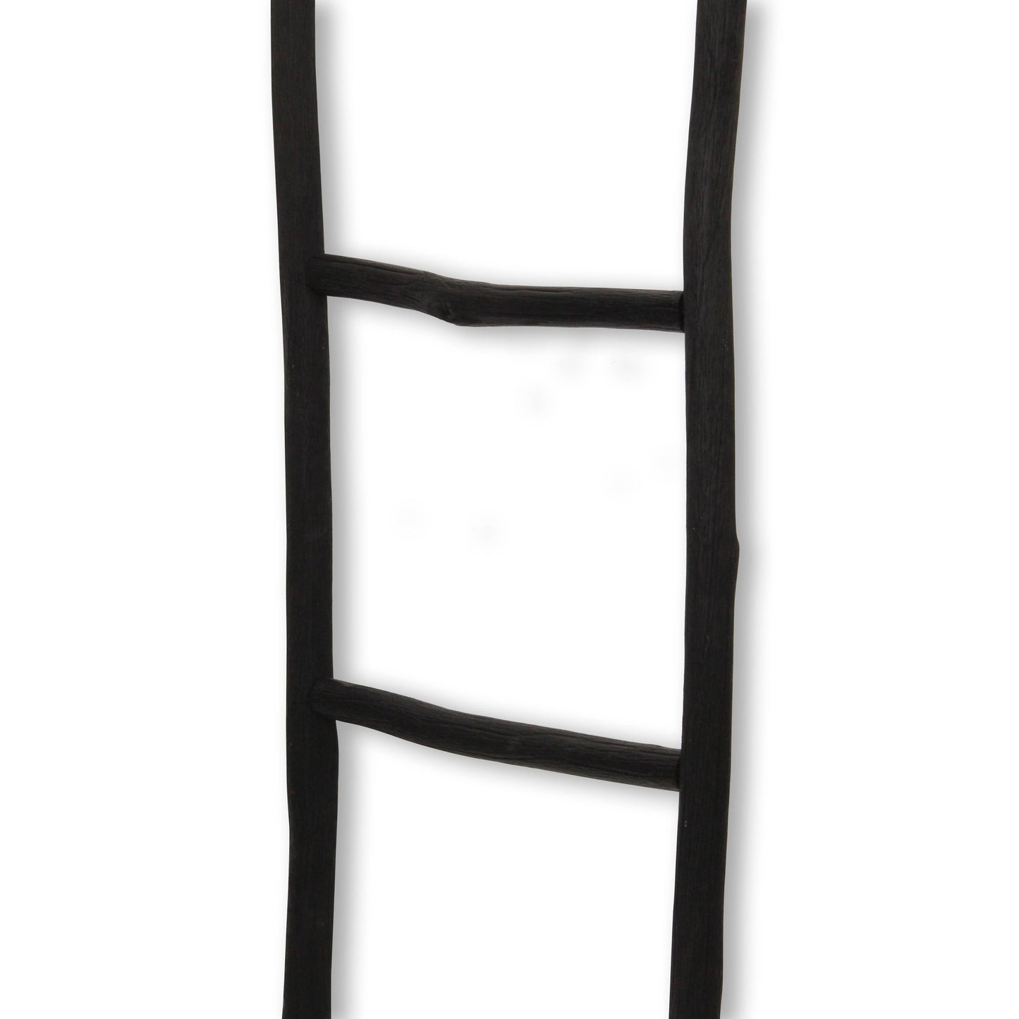 Theron Wood Ladder