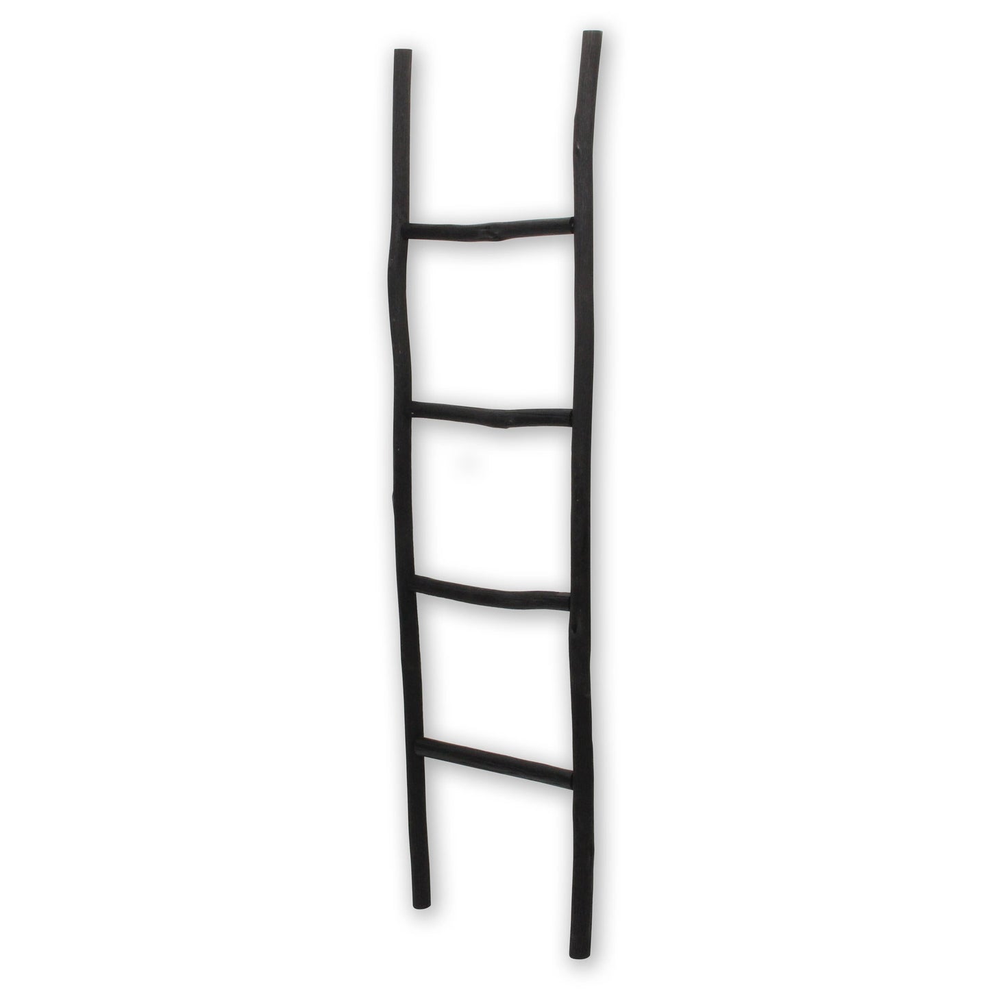 Theron Wood Ladder