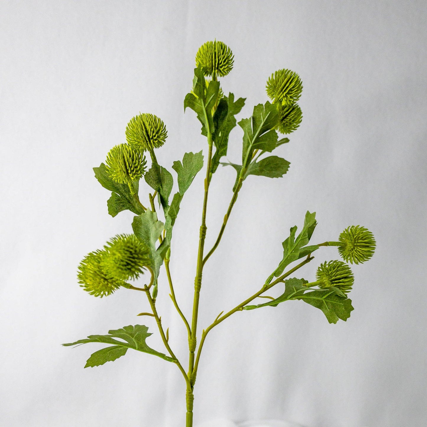 Green Pom Pom Spray