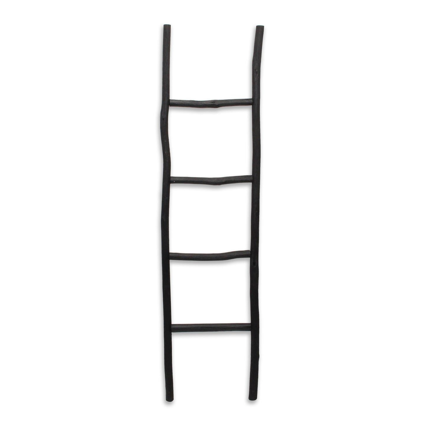 Theron Wood Ladder