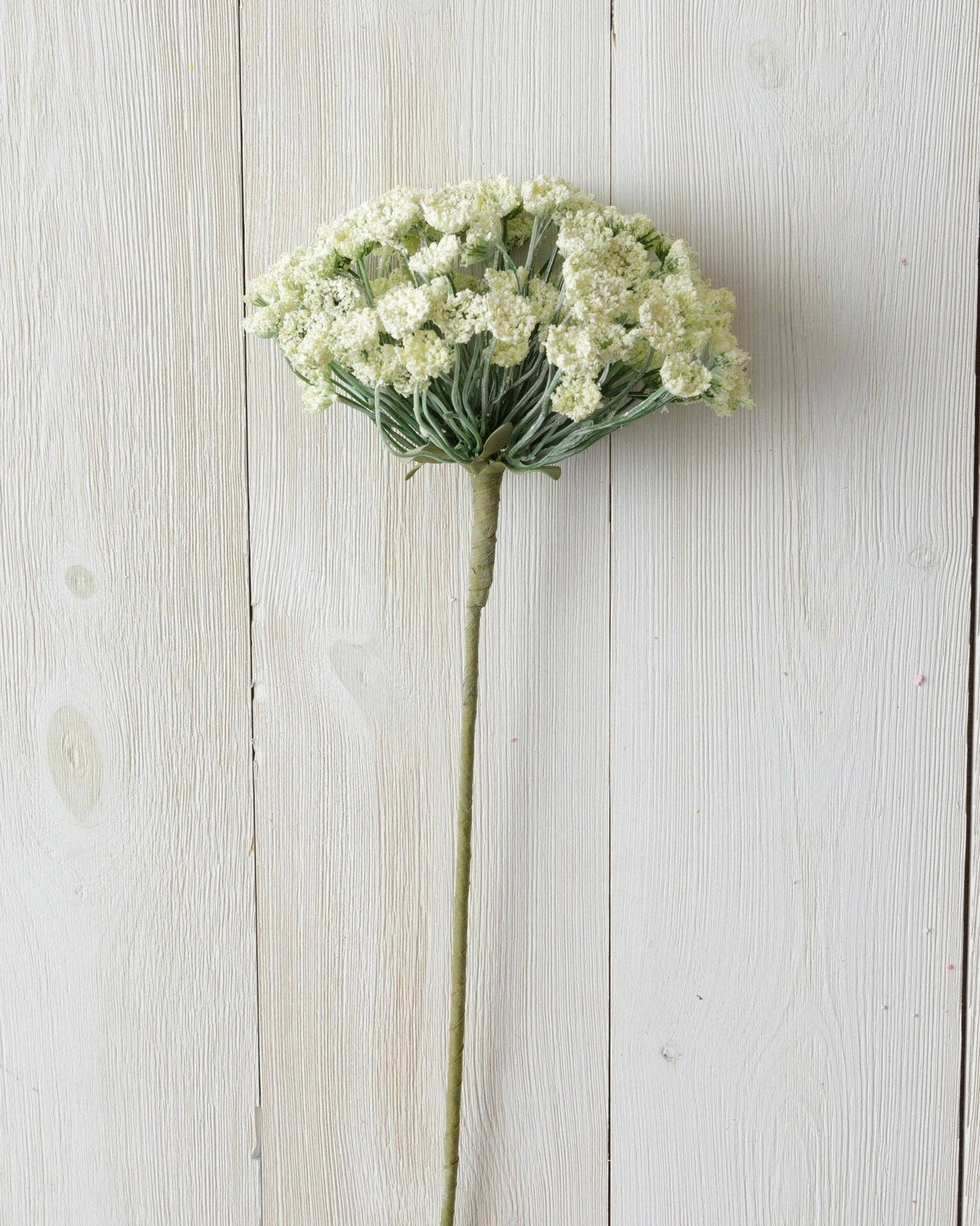 Allium Branch 2PC