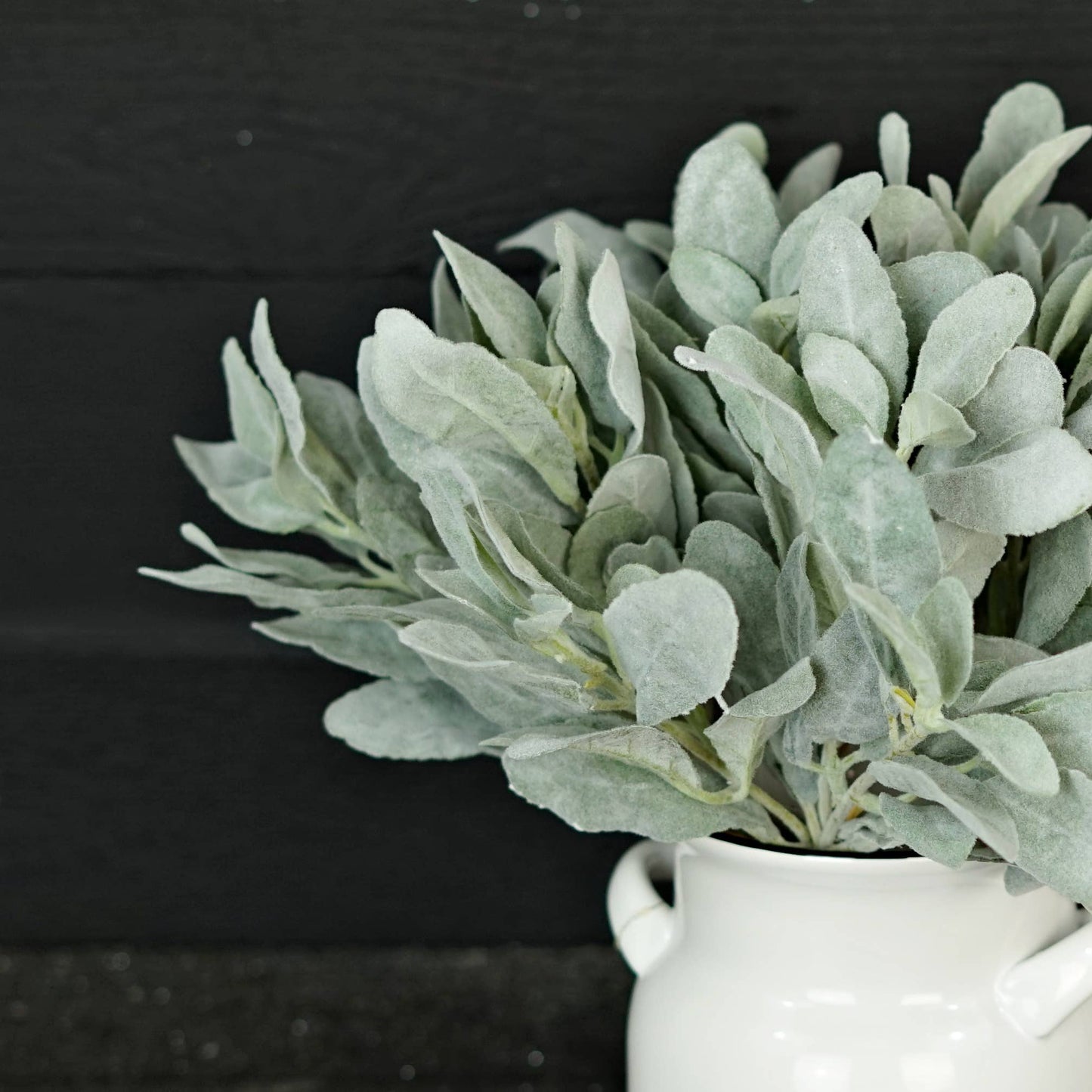 Flocked Lamb Ear Leaves