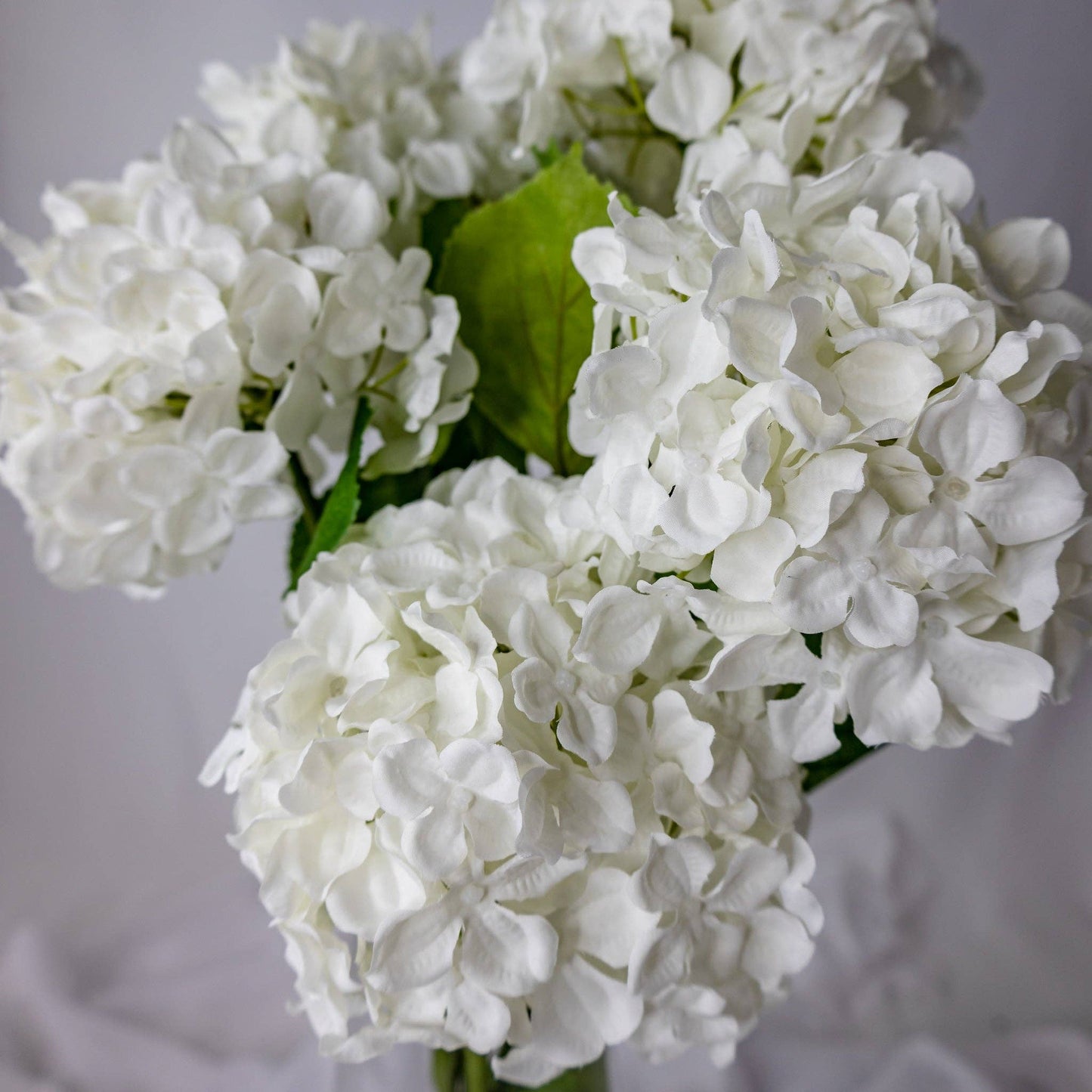 White Hydrangea Soft Touch