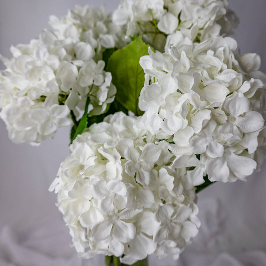 White Hydrangea Soft Touch