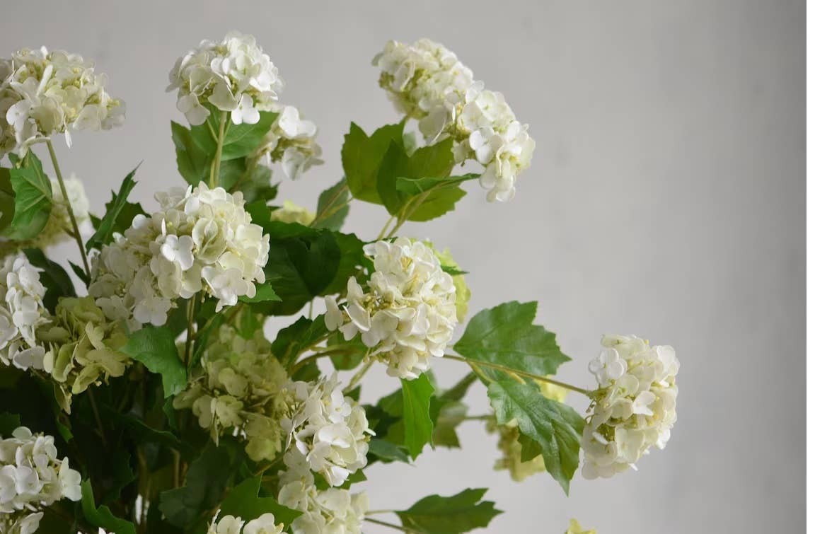 Hydrangea Spray