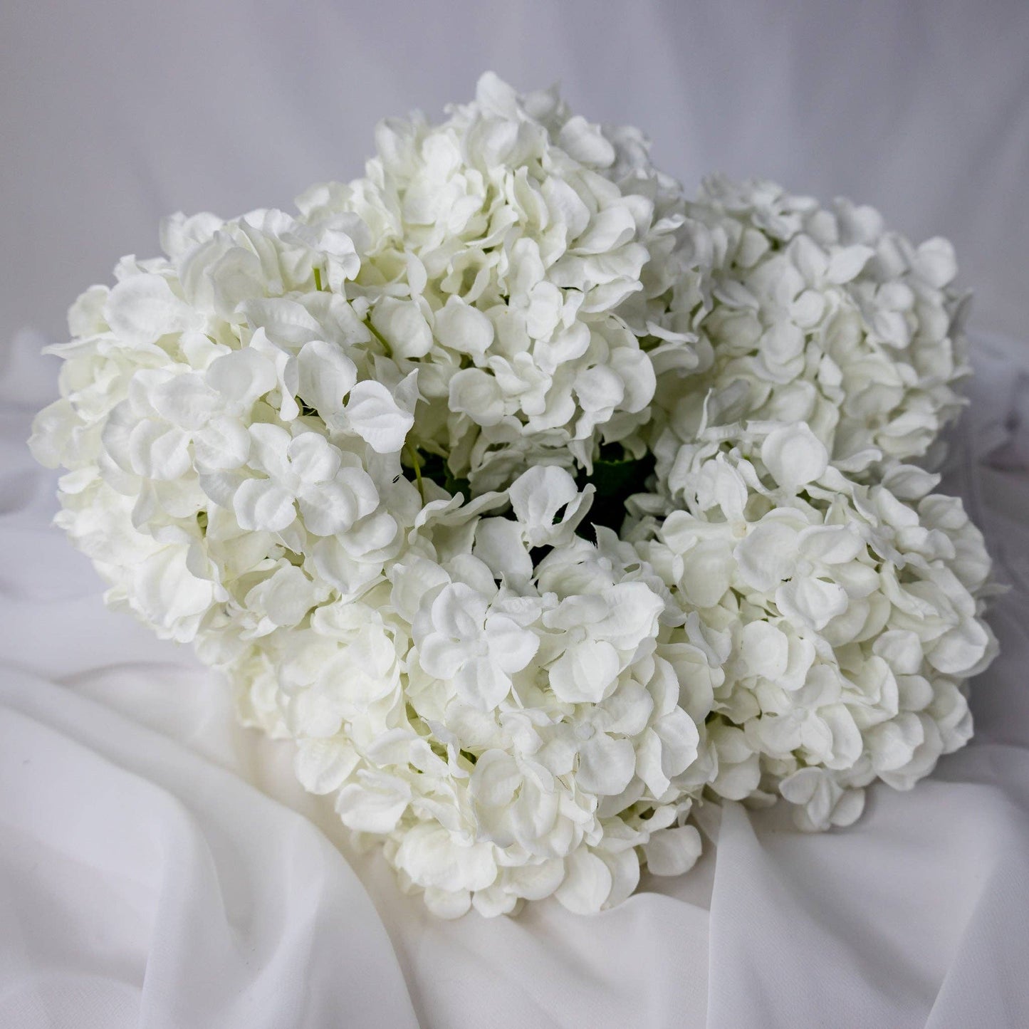 White Hydrangea Soft Touch