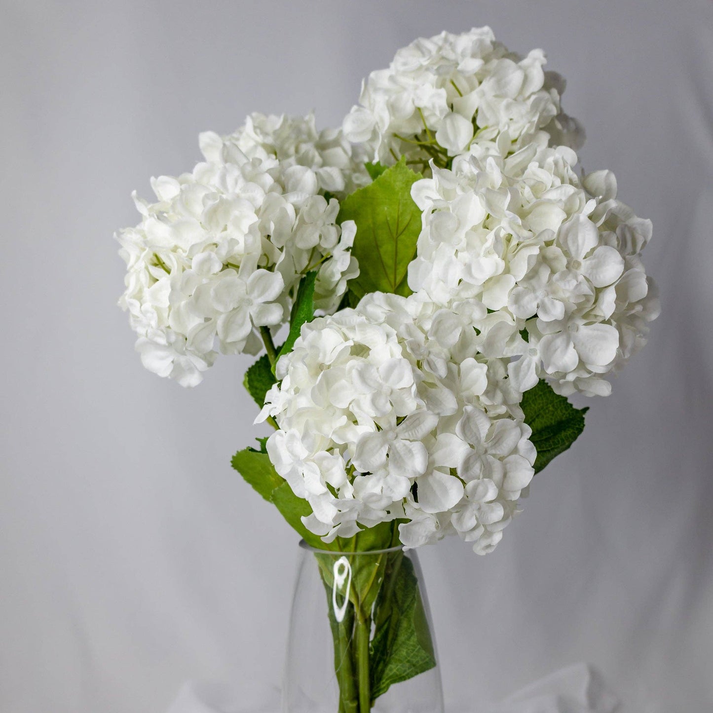 White Hydrangea Soft Touch