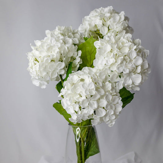 White Hydrangea Soft Touch