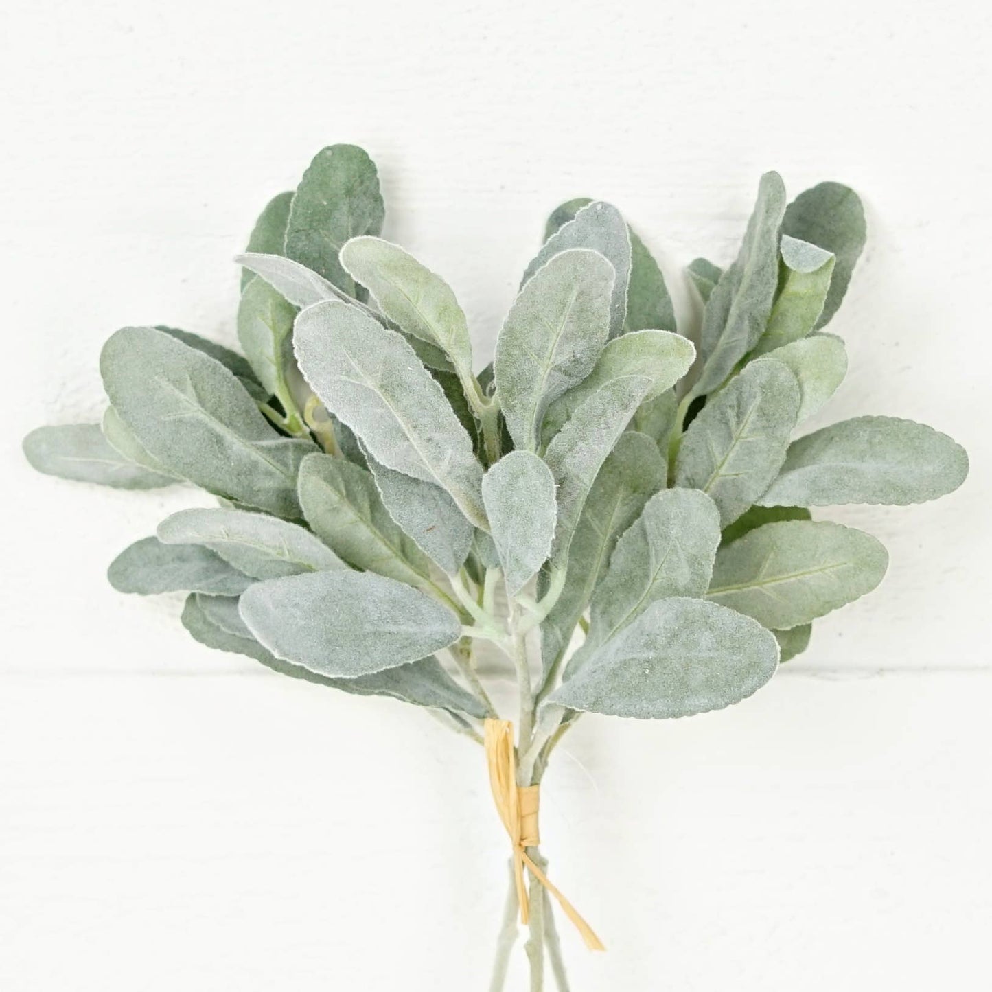 Flocked Lamb Ear Leaves