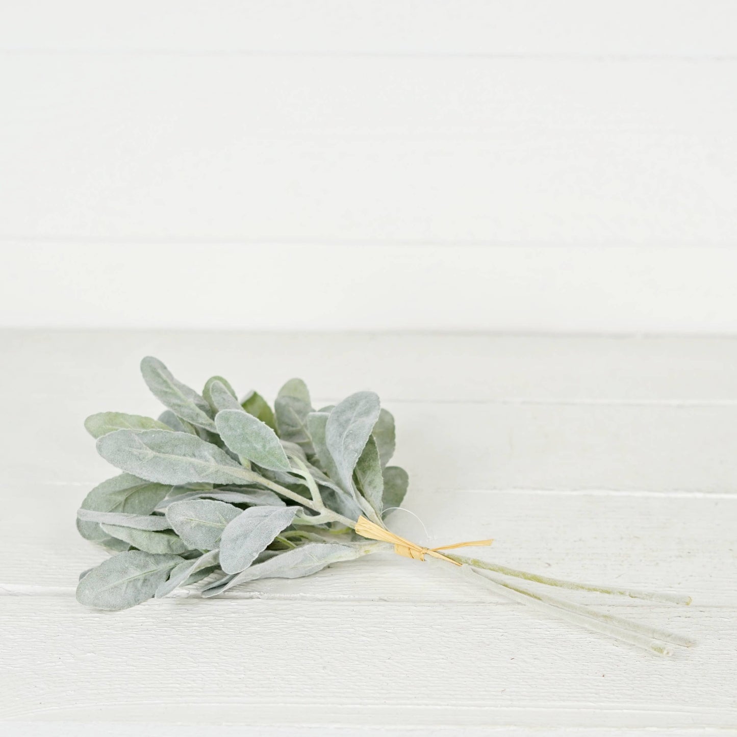 Flocked Lamb Ear Leaves