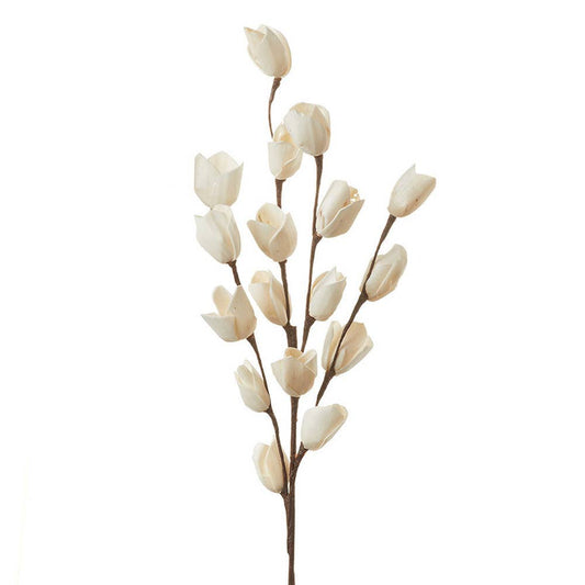 Rosebud Stem