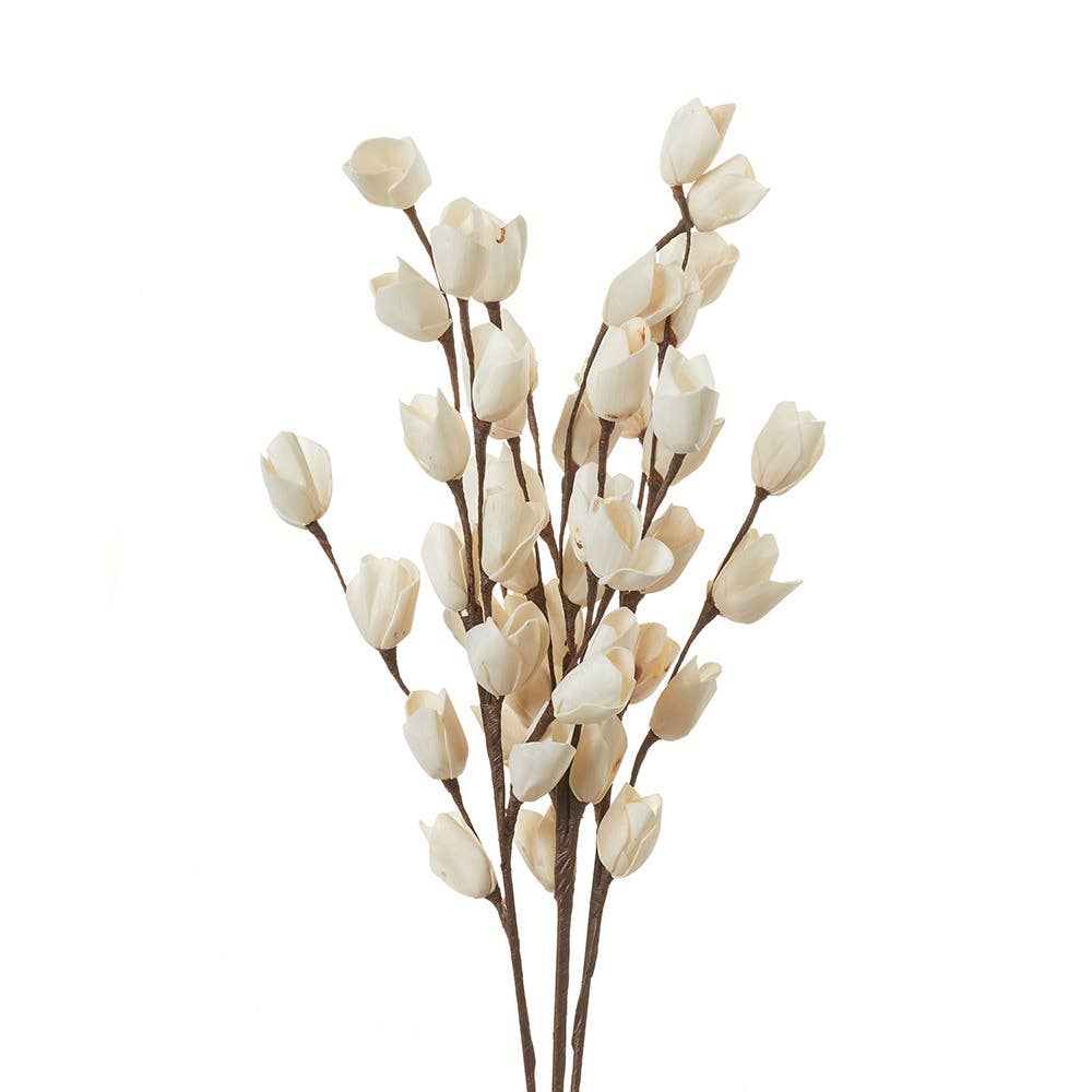 Rosebud Stem