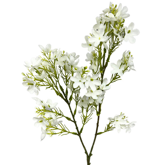 Wild Flower Stem
