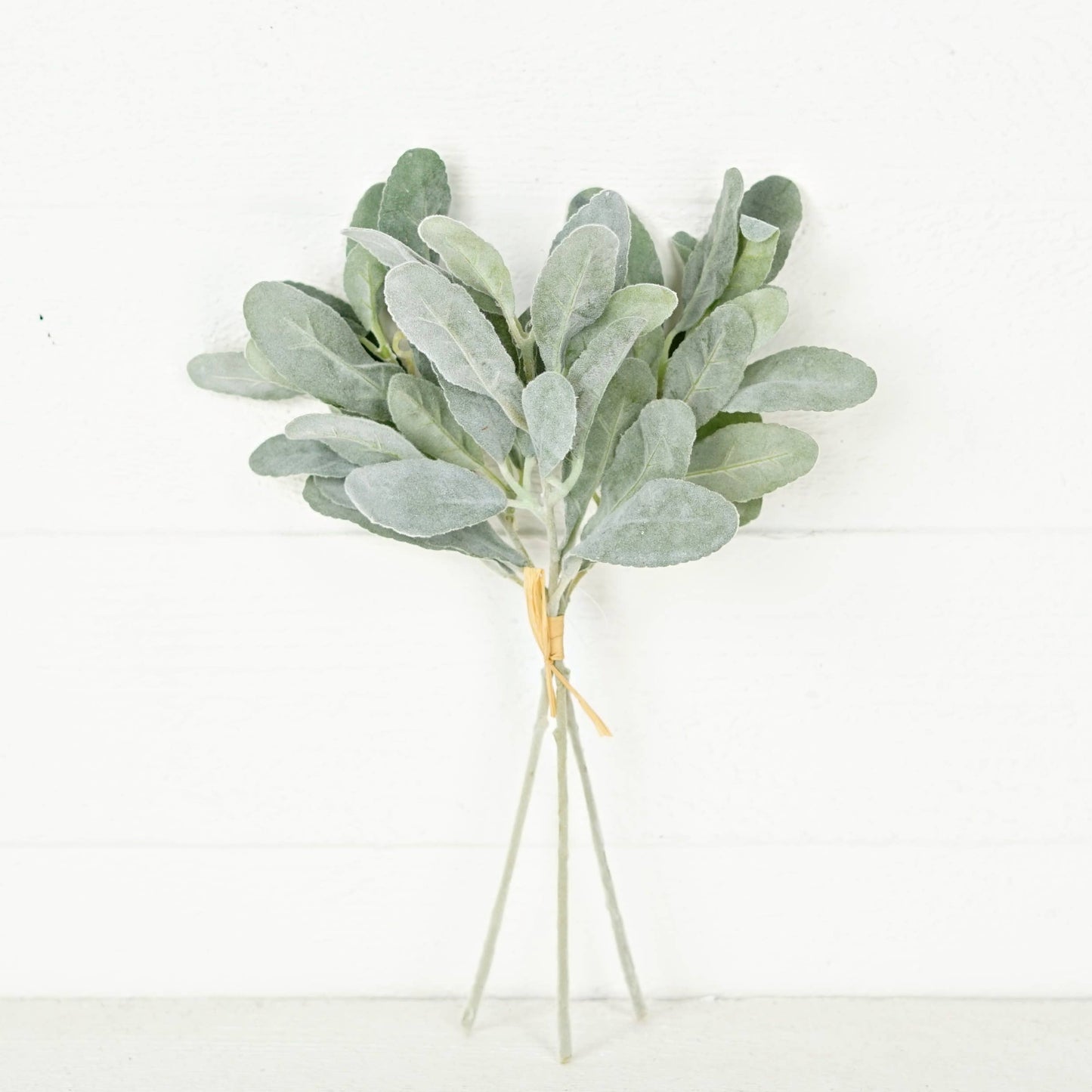 Flocked Lamb Ear Leaves