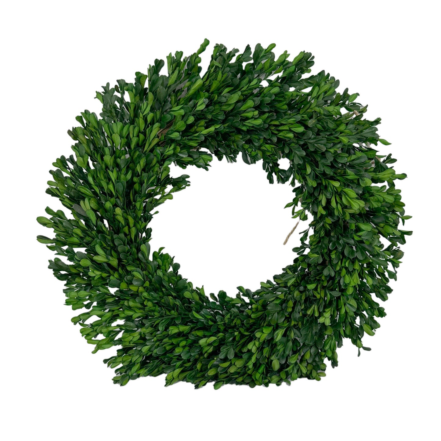 Naturally Preserved Wreath 21"